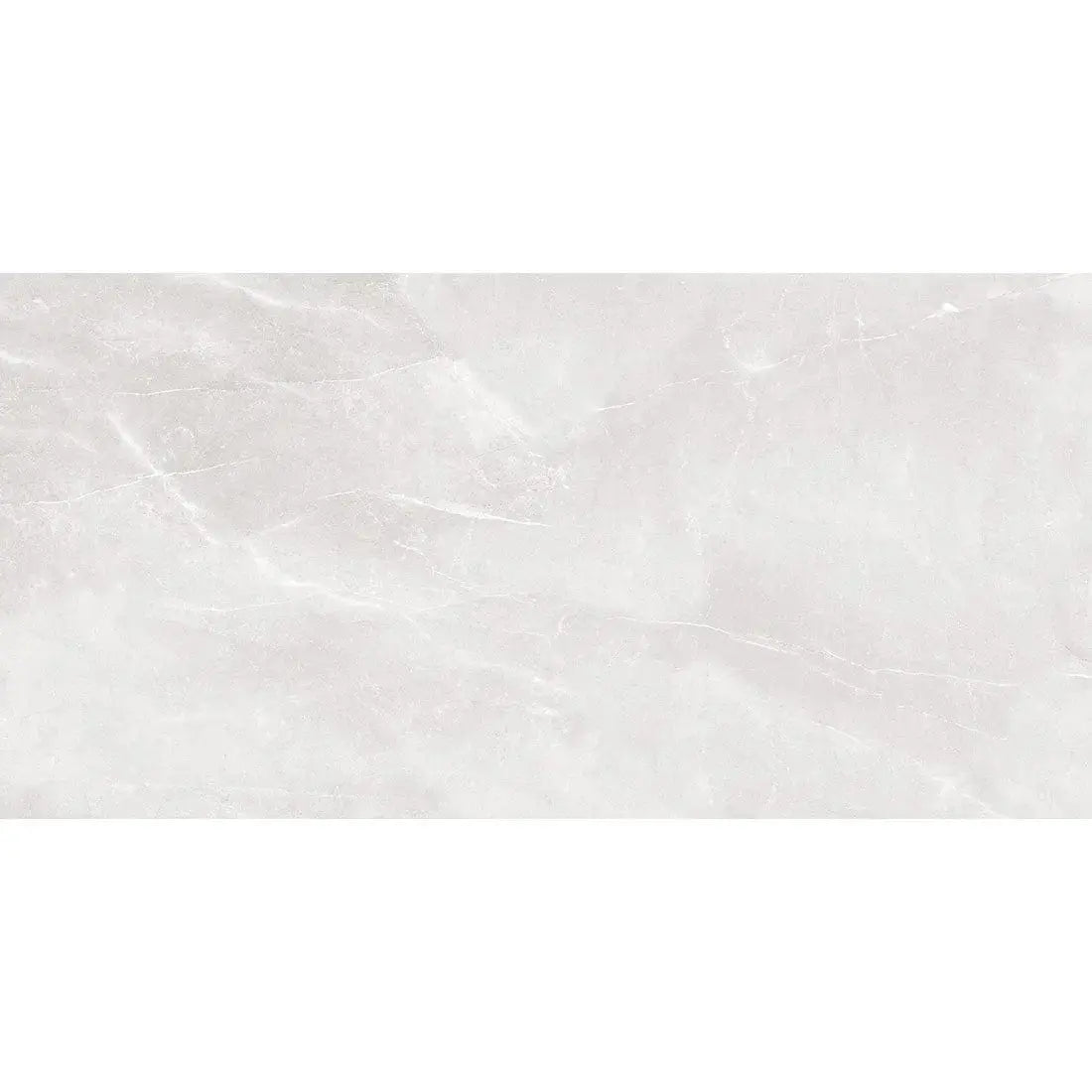 Ariana L. Grey 60x120 cm Polished Porcelain Tiles from £19.99 sq.m DS