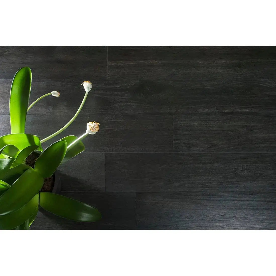Sharpwood Nero ( Black ) Semi polished 20x120 cm Porcelain Tile from £23.99 DS