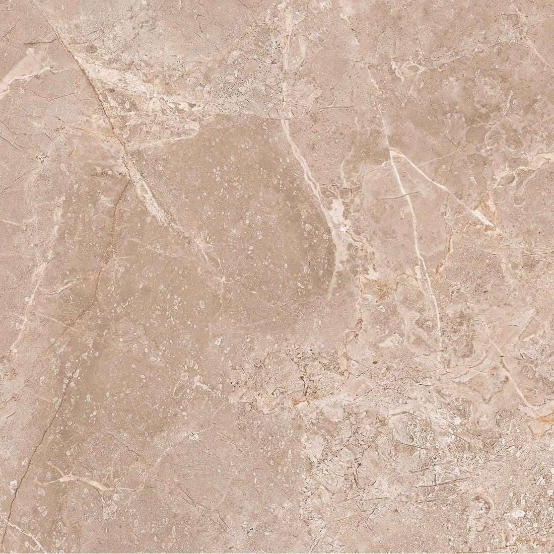 Jerico Brown 60x60 cm Marble effect Polished Porcelain Tile Vivido Tiles Harrogate 