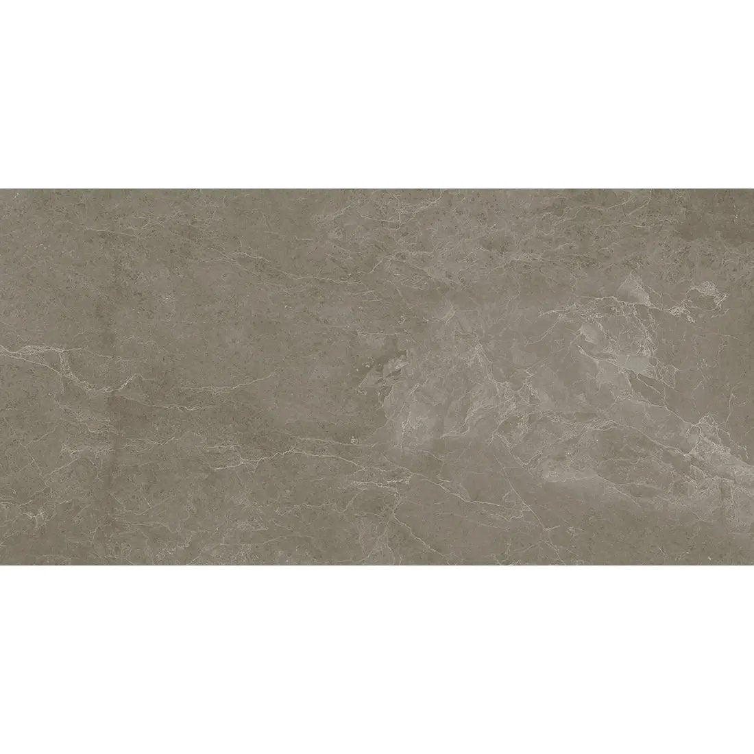 Lidsey Forest 60x120 cm Matt Porcelain Tiles for wall & floor from £34.99 DS